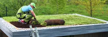 Foto van een man die sedum legt op een groendak
